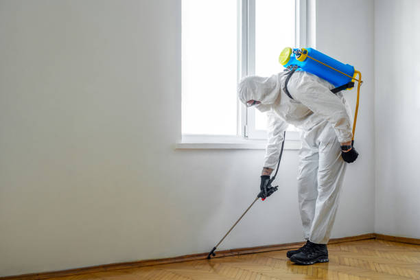 Best Pest Prevention Services  in Mountain Lake, MN