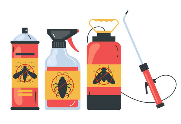 Best Insect Control  in Mountain Lake, MN