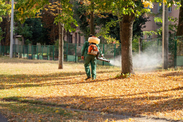 Best Cockroach Control Services  in Mountain Lake, MN