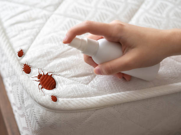 Best Commercial Pest Control Services  in Mountain Lake, MN