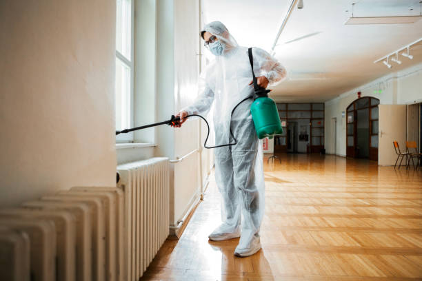 Best Cockroach Control Services  in Mountain Lake, MN