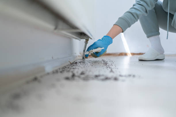 Best Pest Removal Services  in Mountain Lake, MN