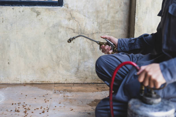 Best Residential Pest Control  in Mountain Lake, MN
